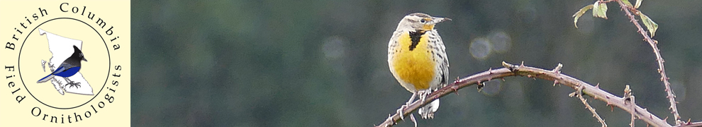 British Columbia Field Ornithologists